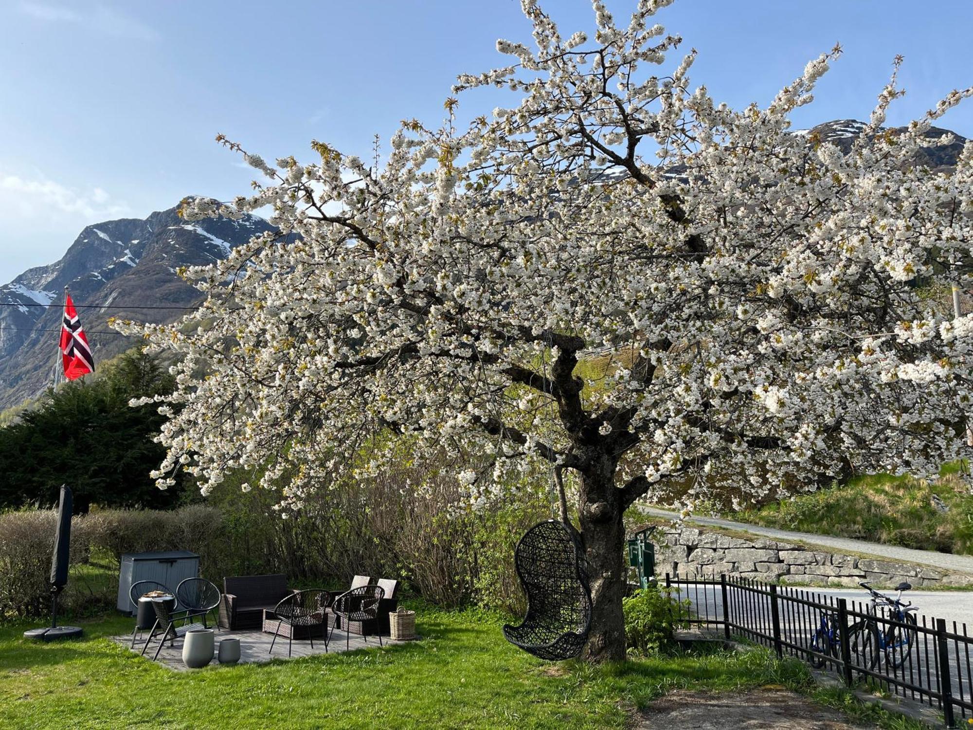 Flo Bellevue Stryn