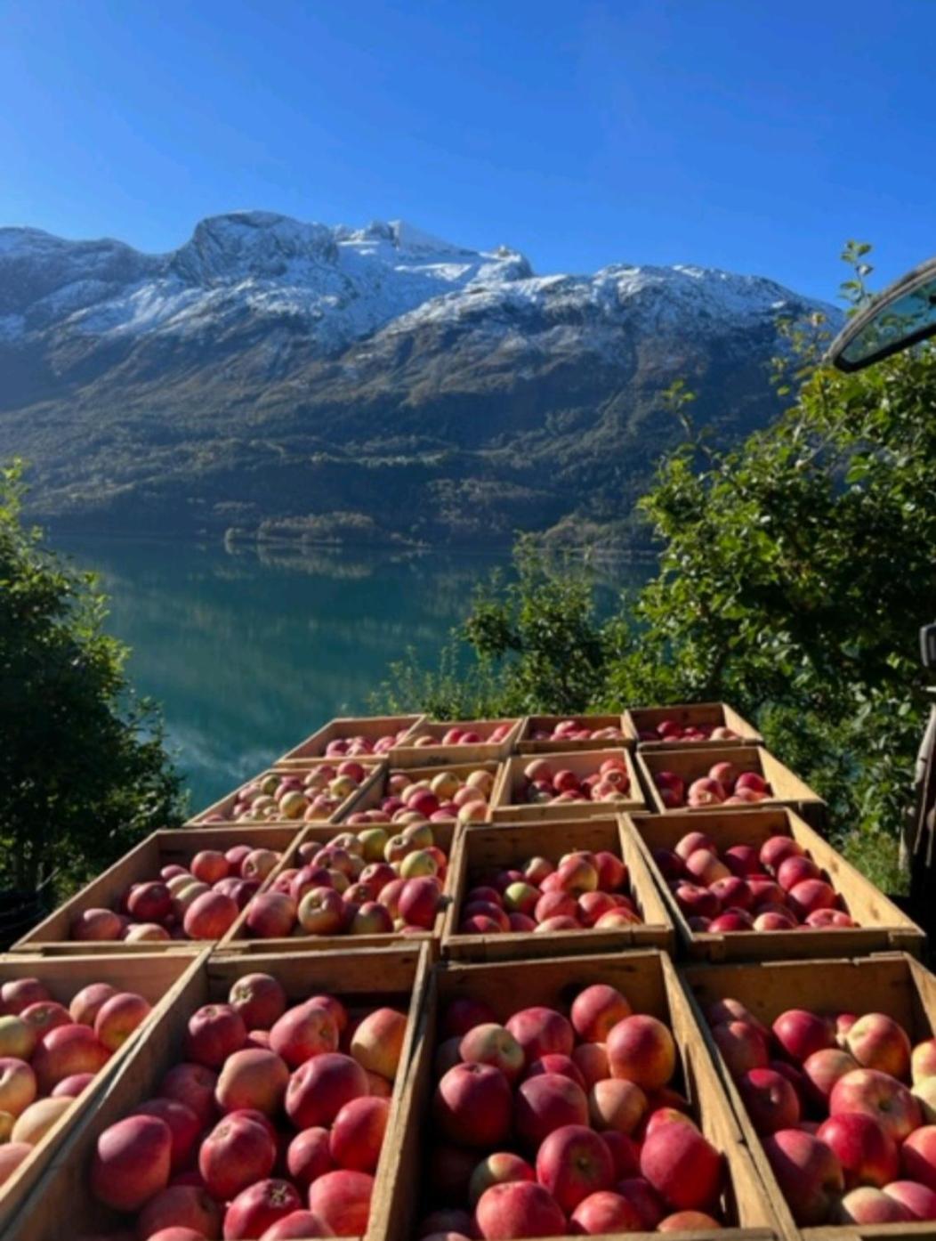 Flo Bellevue * Stryn